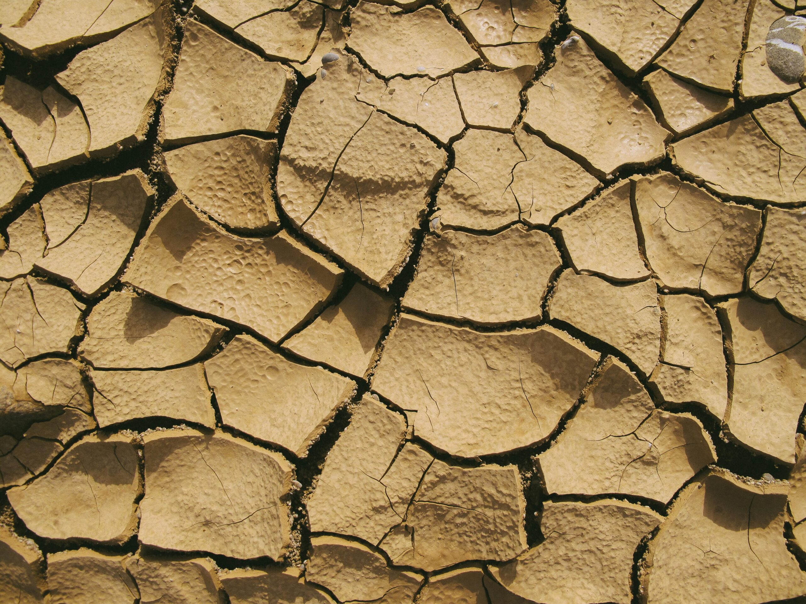 Cracks or fault lines in the desert.