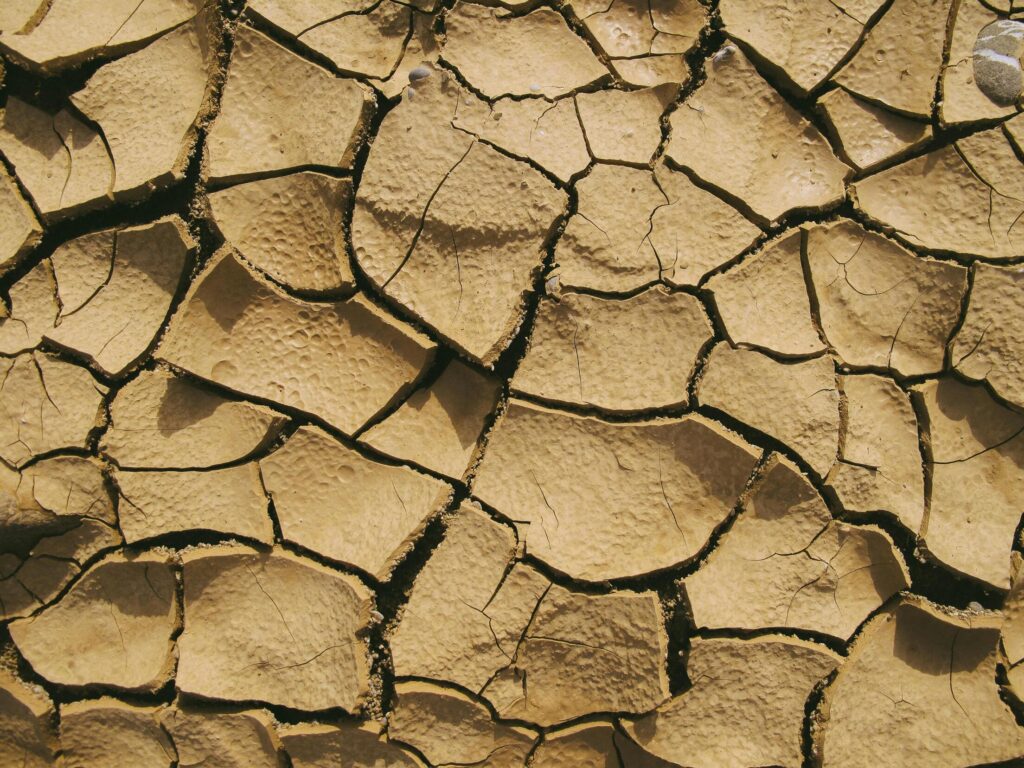 cracks in the desert